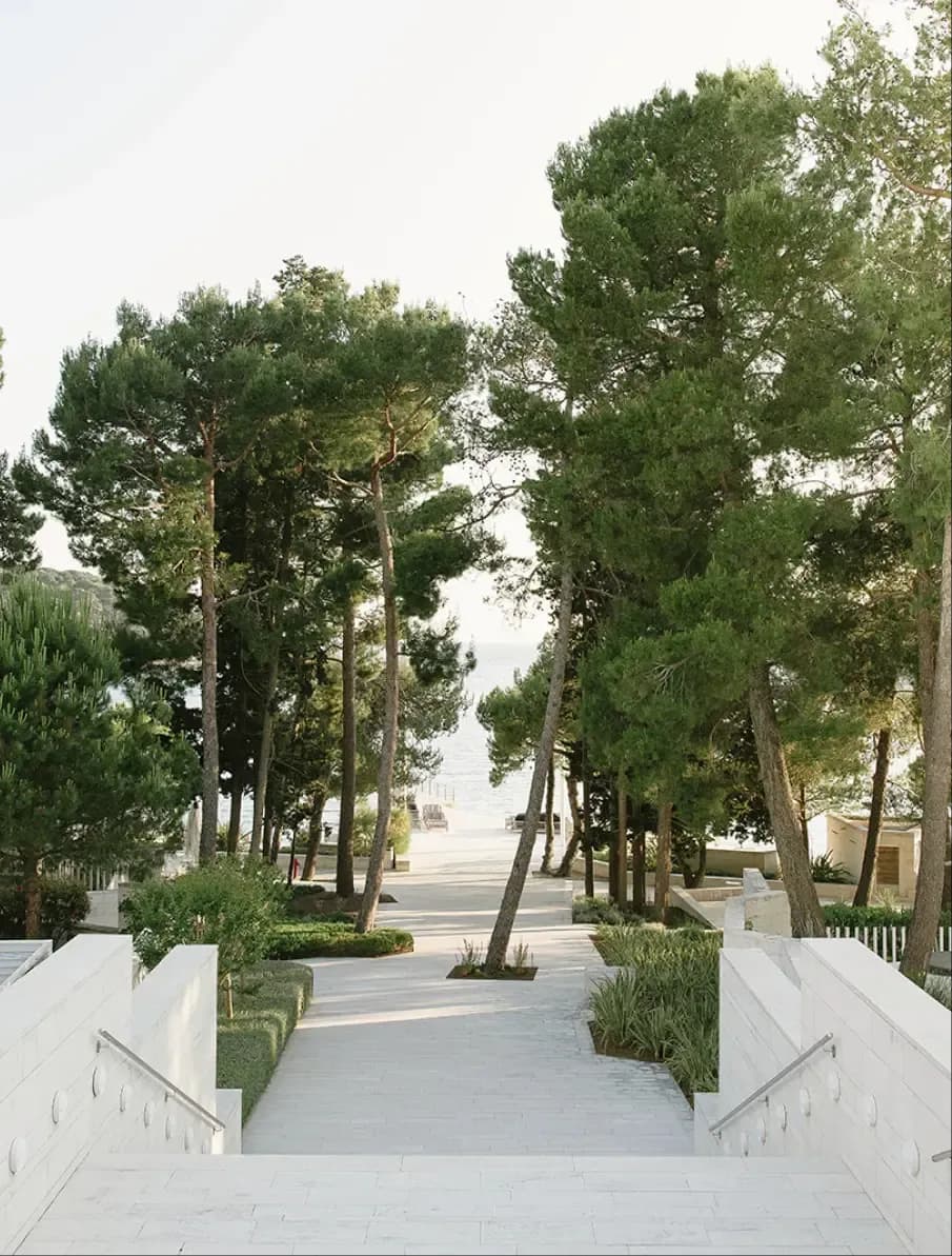 Uncover the layers of your well-being in our forest’s embrace